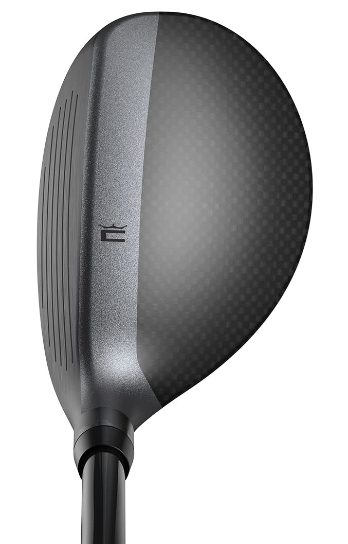 Гибрид Cobra King TEC